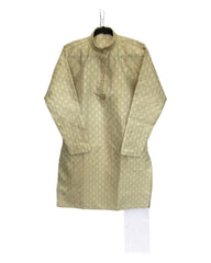 Light Pastel Green - Banarasi Brocade Mens Indian Kurta set - Weddings / Walimas , Sangeet, Eid, Mehndi / Henna - KCS1009 06KA24