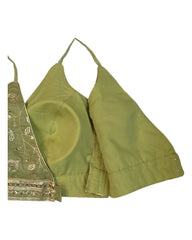 Pista Green - Low V Neck Embroidered Saree / Lehenga Blouse - 34