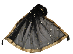 Ladies Net Dupatta with Gold Lace Border - Mix N Match -  HSK2101 Tp0621